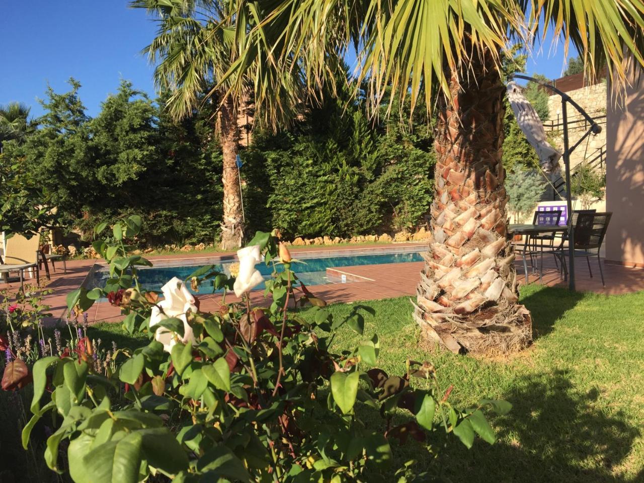 Meliades Villas Agia Marina  Екстер'єр фото